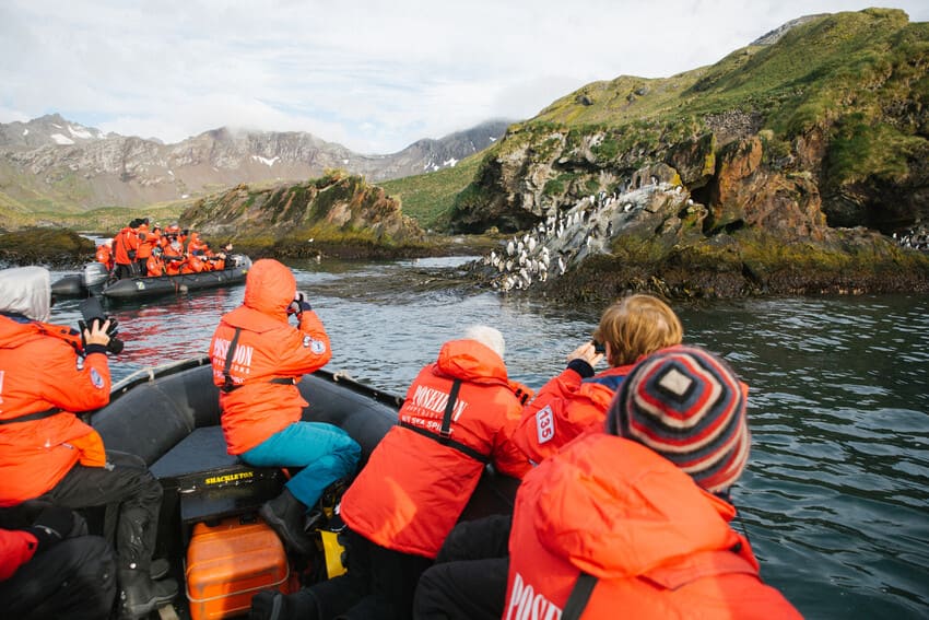 Appearance and Features Appearance and Features