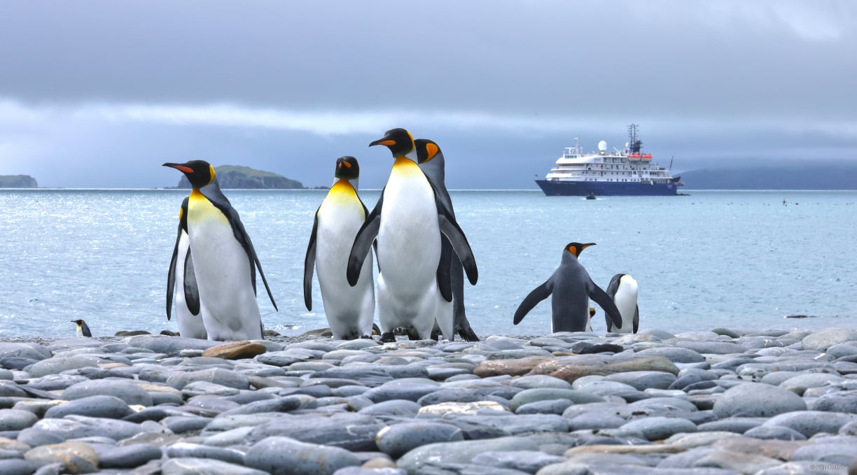 South_Georgia_cruise.jpg