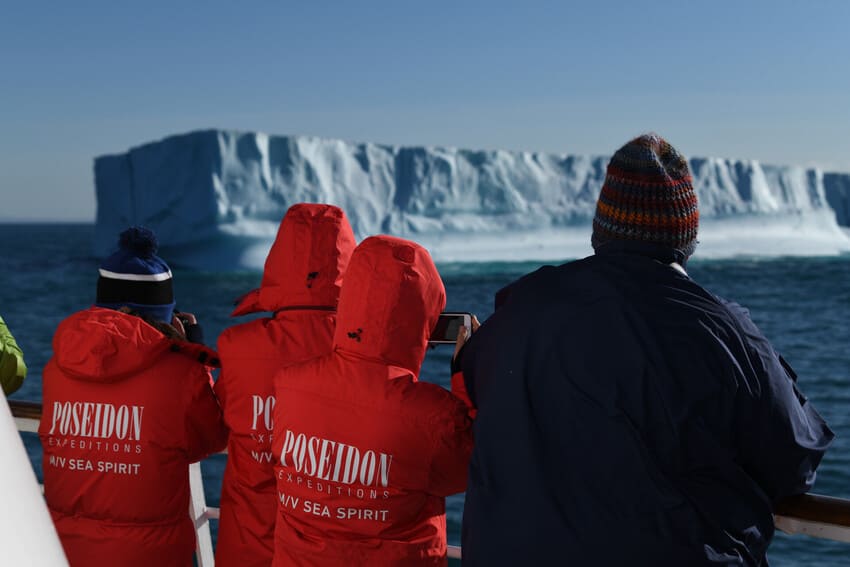 2. Greenland Shark Meat is Poisonous