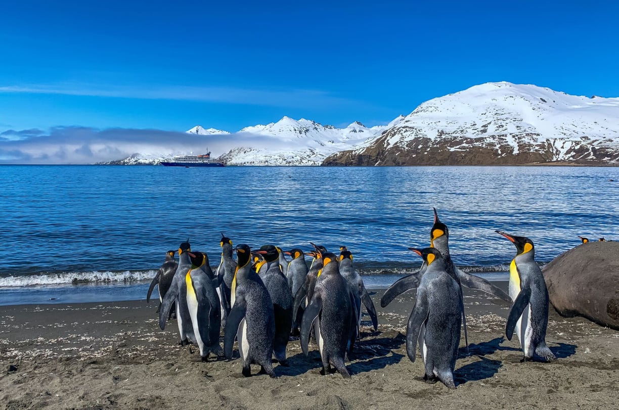 South Sandwich Islands South Sandwich Islands