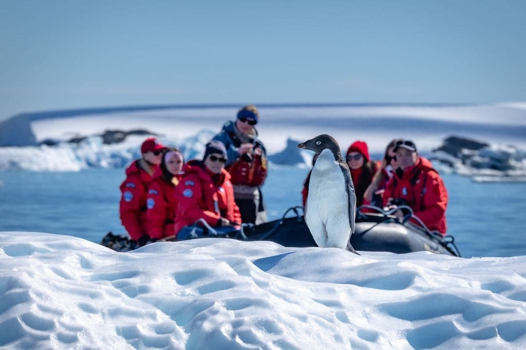Ice Shelves Ice Shelves
