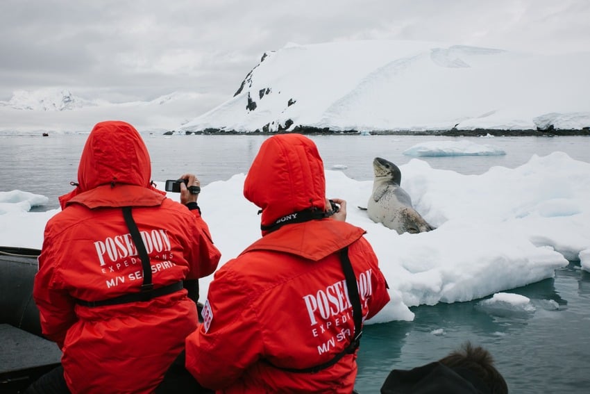 Leopard Seal - 10 Facts About Sea Predator | Poseidon Expeditions