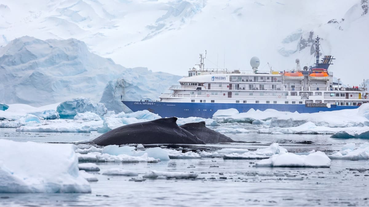 humpbacks daily menu