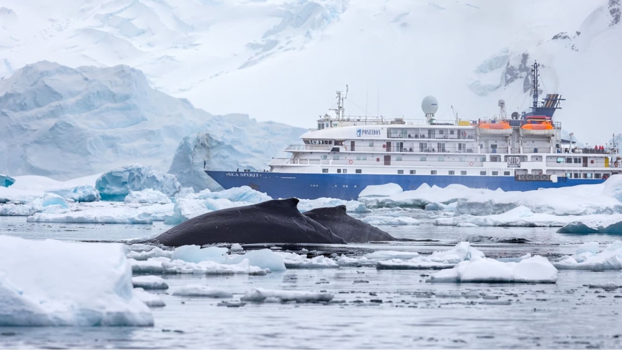 Global Climate Implications 