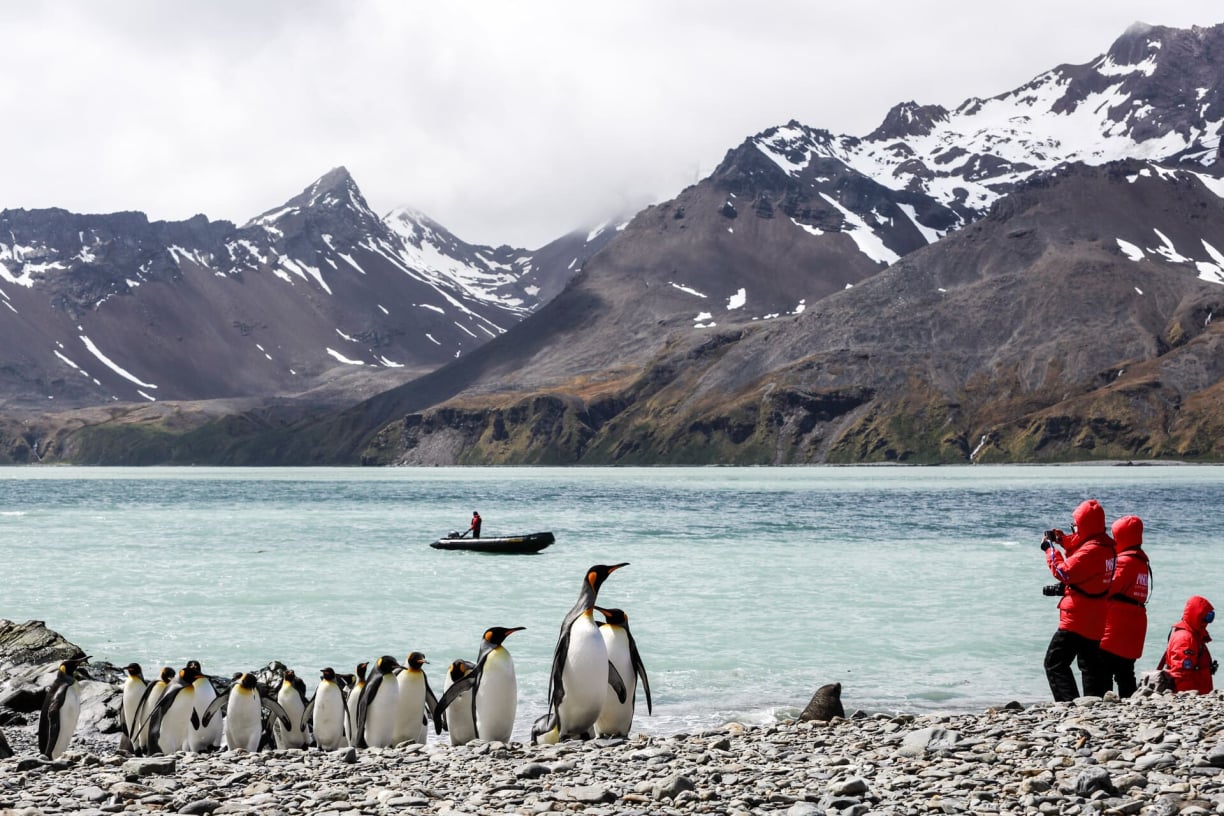 South Georgia Island South Georgia Island