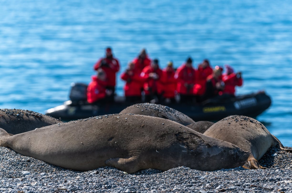 tourists-watching-seals.jpg