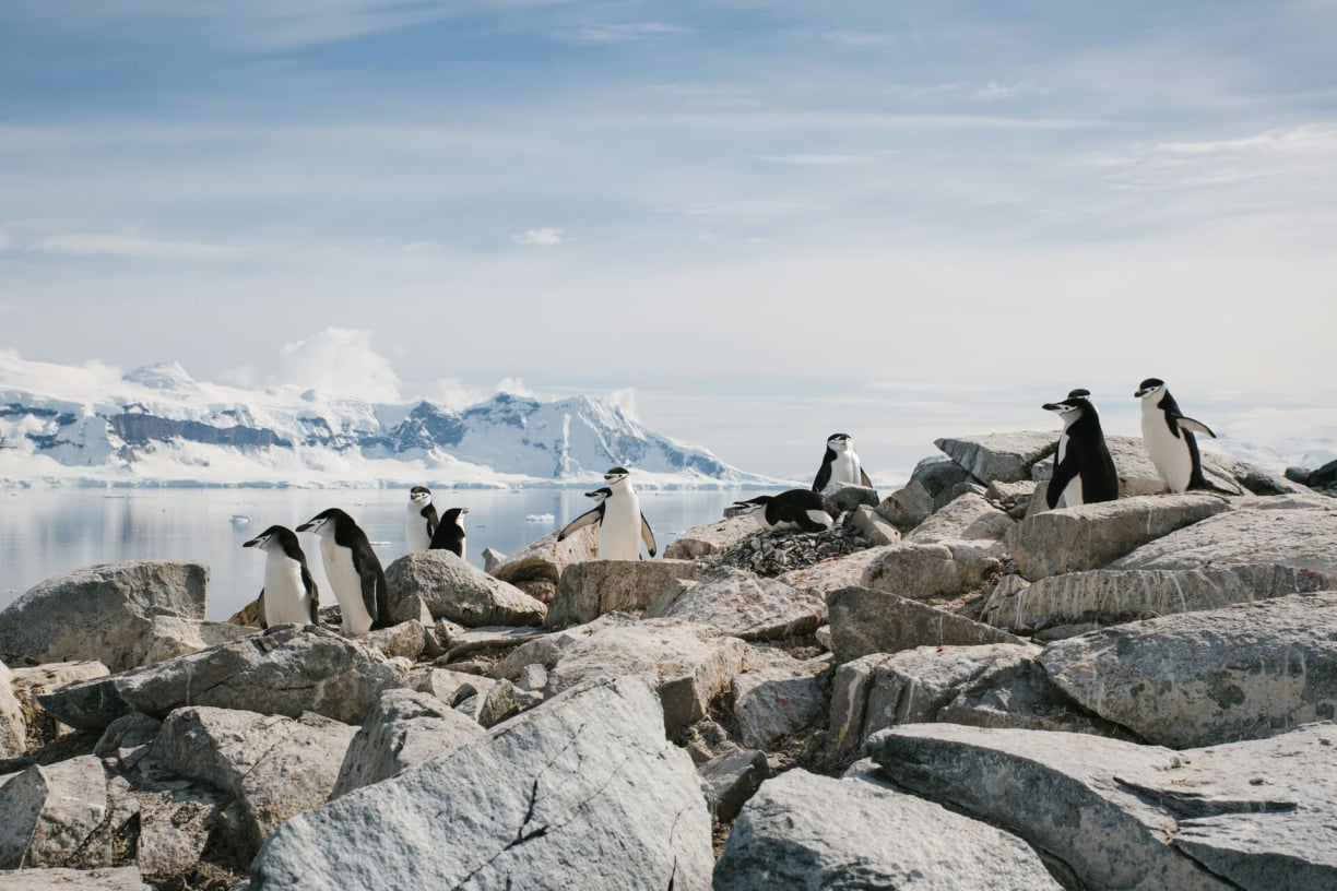 Snow Hill Island Snow Hill Island