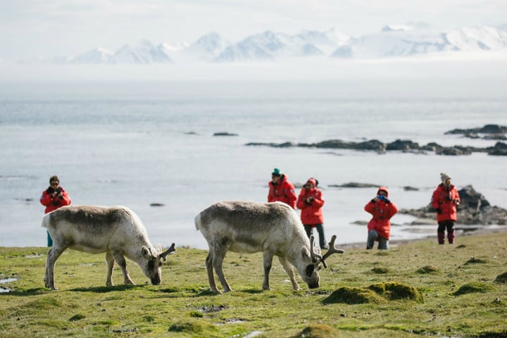Expedition cruises to Svalbard with Poseidon Expeditions