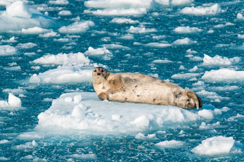 Nunavut: Canada's Arctic Territory
