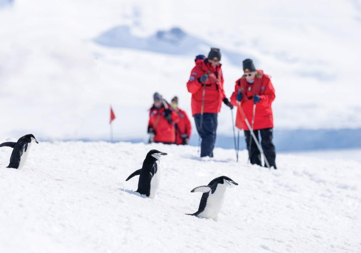 Big Antarctica Big Antarctica