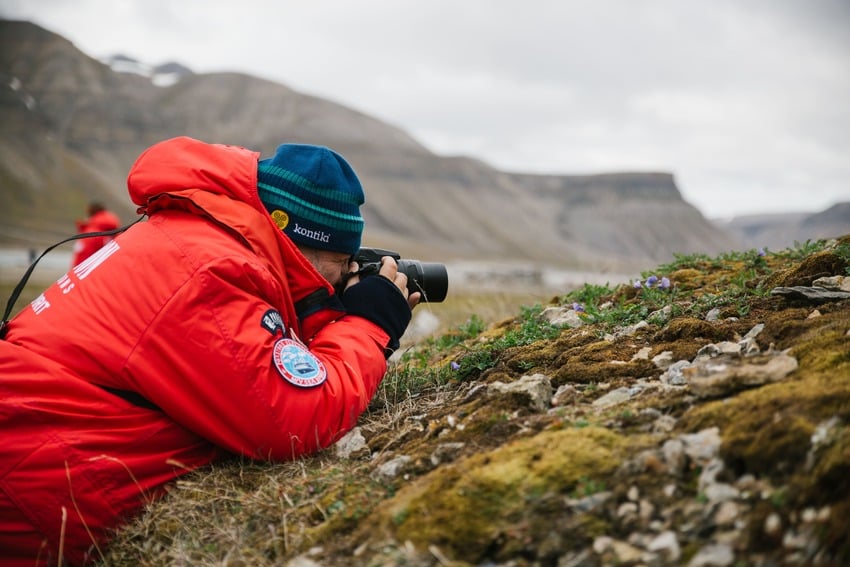 The remarkable arctic plants of Svalbard and Greenland