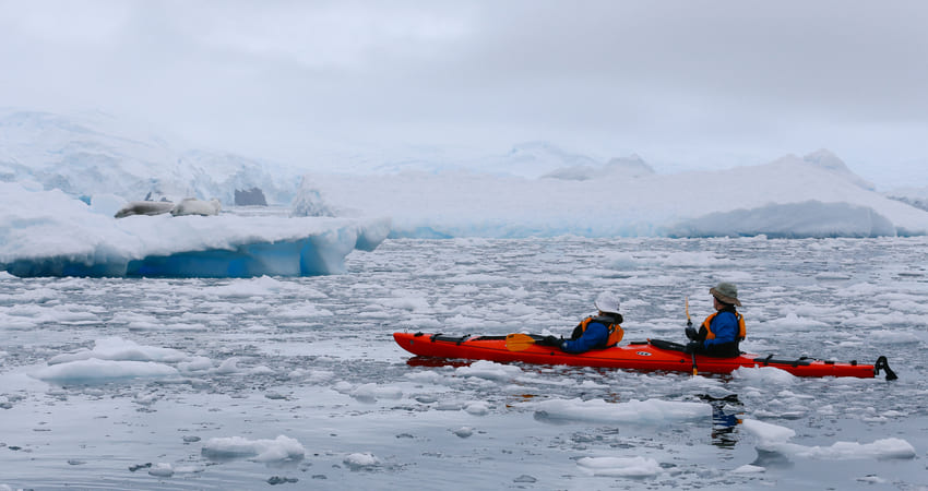 Kayaking in Antarctica