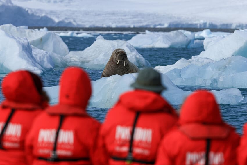 Wildlife and Biodiversity