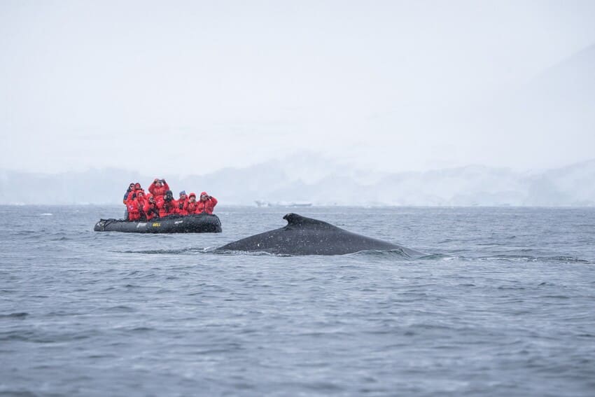 They Can Live to be Over 100 Years Old They Can Live to be Over 100 Years Old