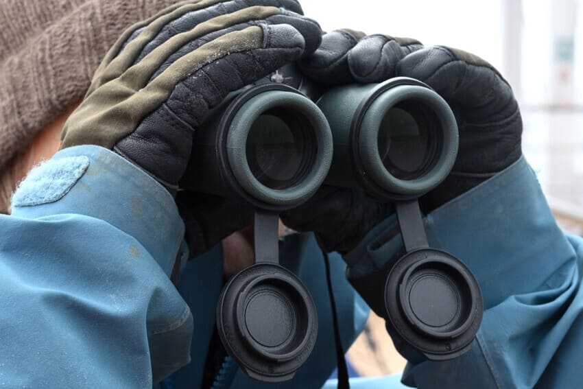 Balancing Exploration with Conservation