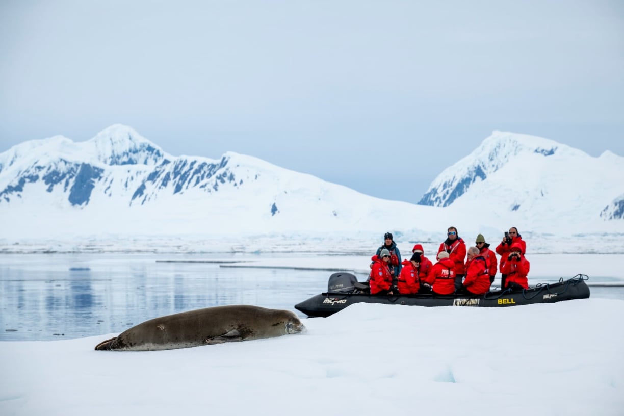 Antarctica Antarctica