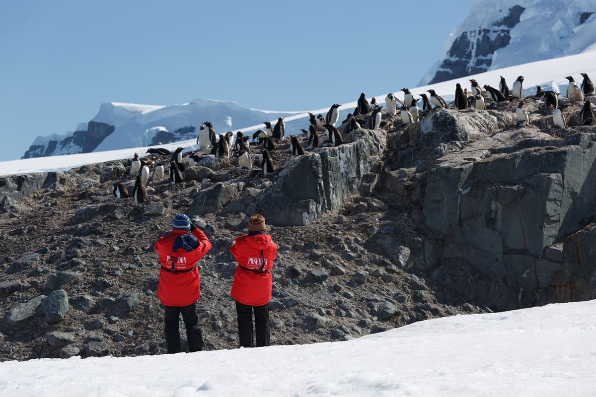 Antarctic Survival Game