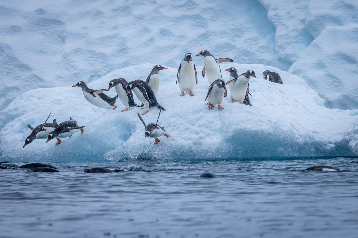 Extreme Weather Systems