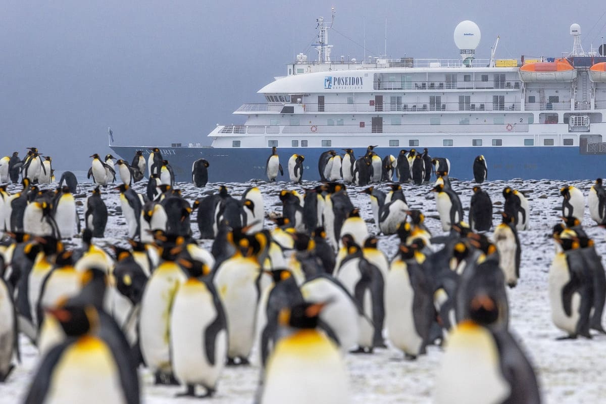 Antarctic ecosystem Antarctic ecosystem