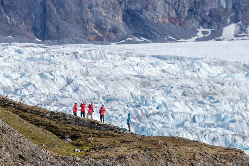 3 Their Diet Is Heavy on Lemmings