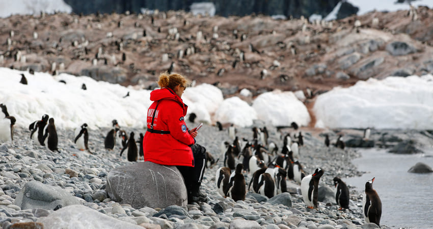 Landing at the penguin rookery