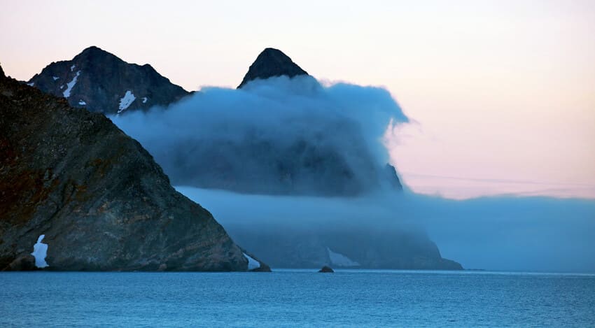 Why do Greenland sharks live so long?