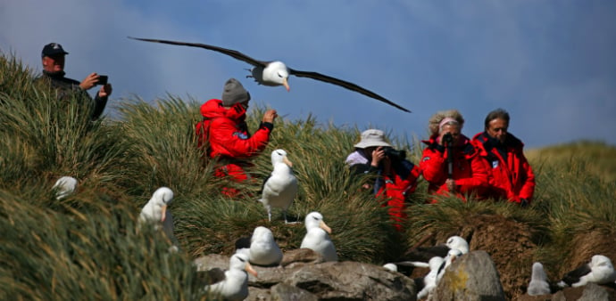 Six considerations for Antarctic cruises