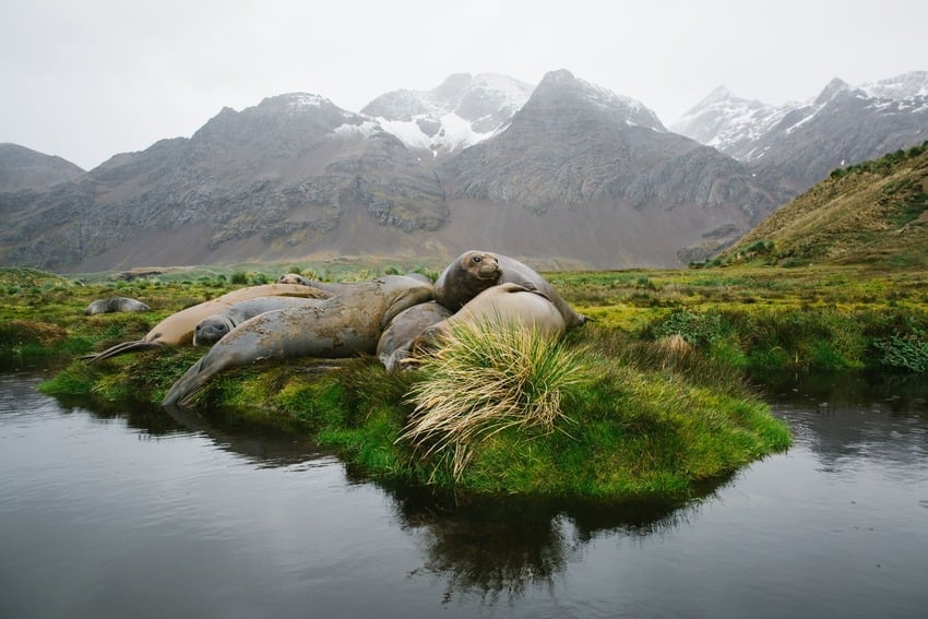 Why is Elephant Island famous?