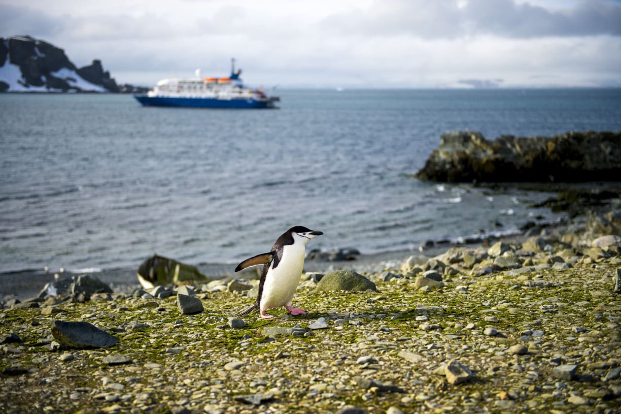 Half Moon Island Half Moon Island