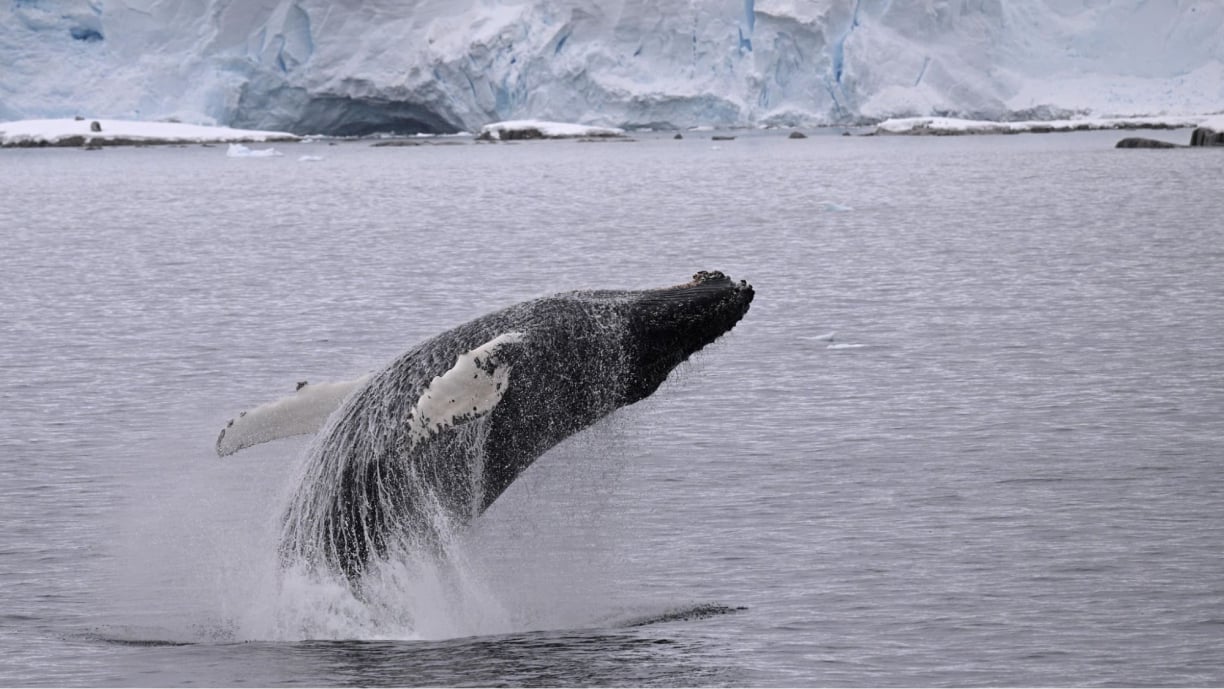 Danger Islands Danger Islands