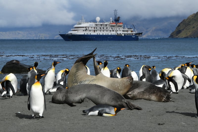 Is it forbidden to go to Antarctica?