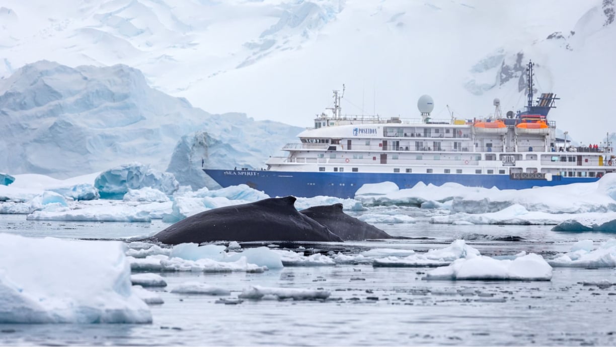 Antarctic sea ice Antarctic sea ice