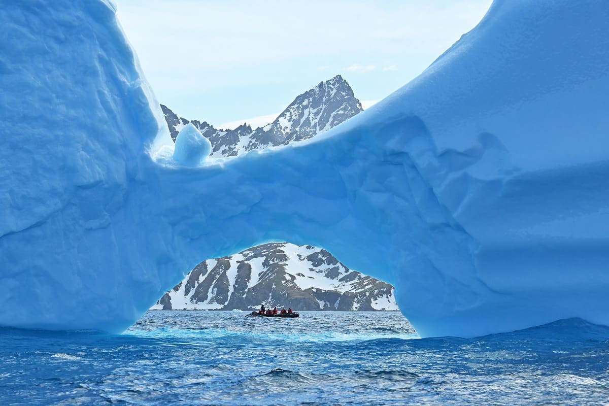 extraordinary Antarctic food web extraordinary Antarctic food web