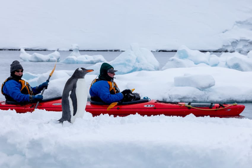 Kayaking in Antarctica