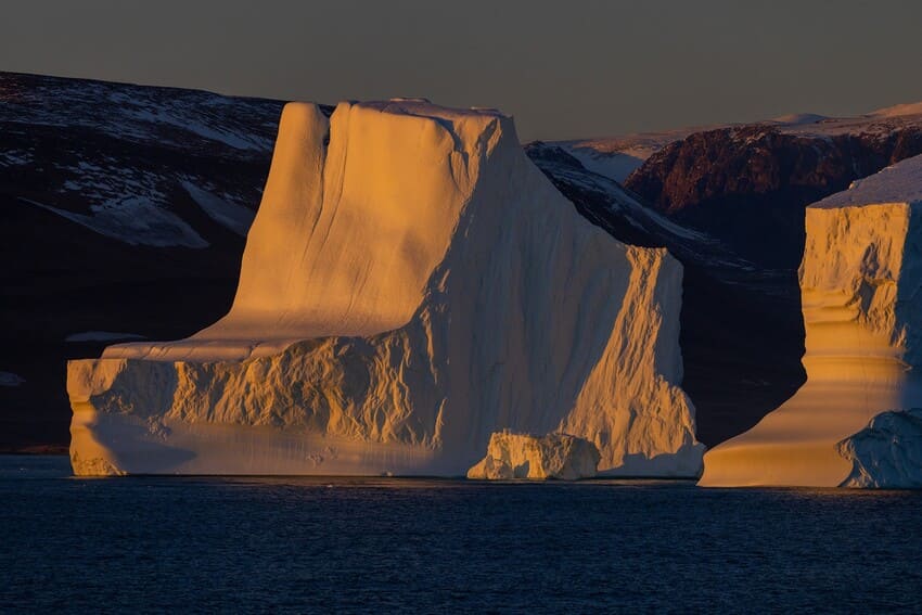 Why do snowy owls live in the Arctic?