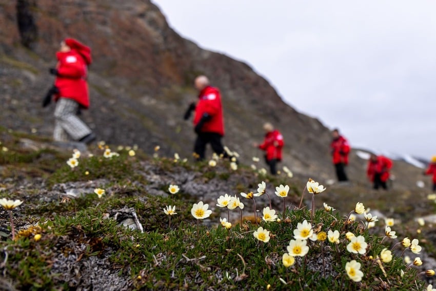 Winter and Spring in Nuuk