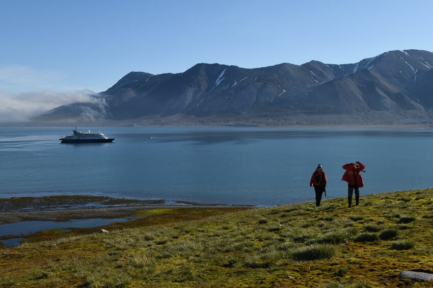 Arctic Hares are Opportunistically Sociable