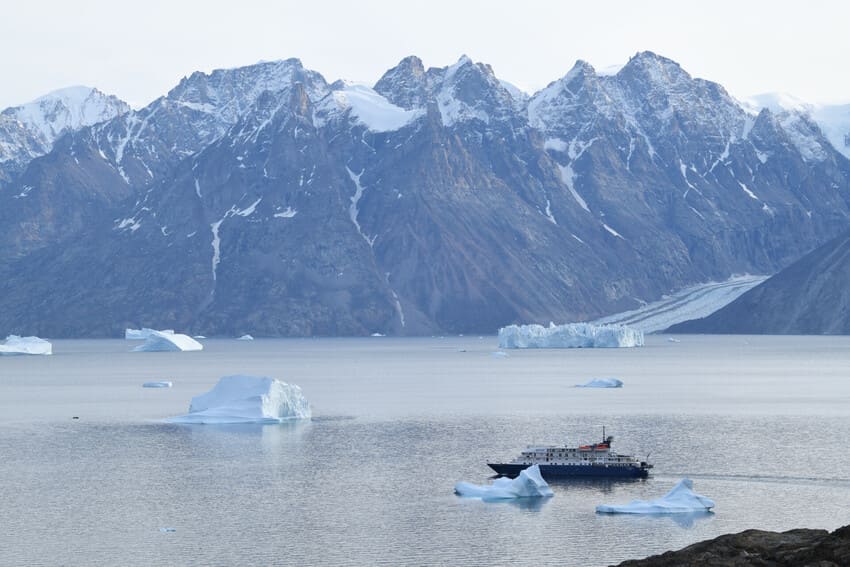 3. Not a Danger to Humans, but Endangered by Humans