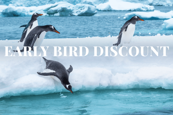 Early Bird Discount
