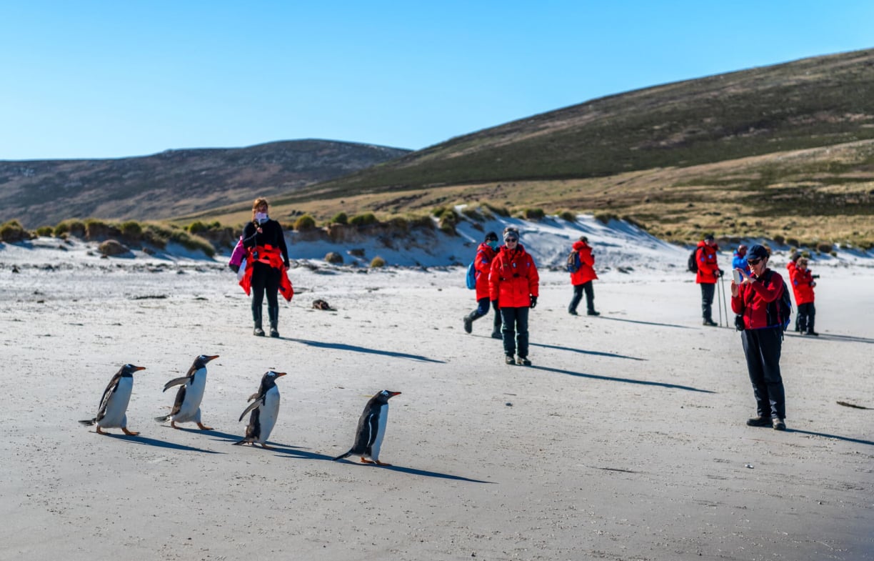 The Falkland Islands The Falkland Islands