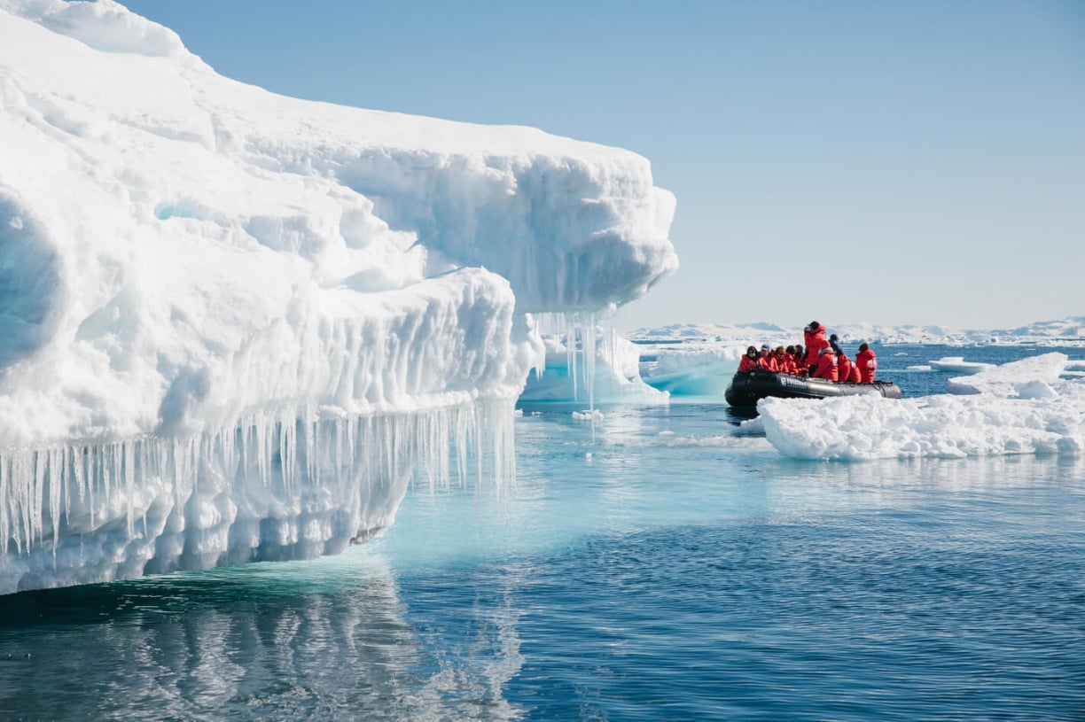 Iceberg vs. Ice Floe: What's The Difference? – Nayturr