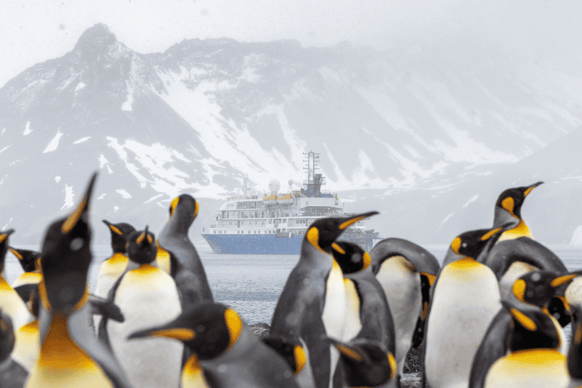 A Recap of the 2024-25 Antarctic Expedition Cruise Season