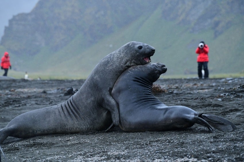 Why is Elephant Island famous?