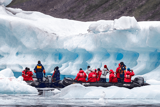 Icebergs, Fjords, Polar bears and Arctic wildlife