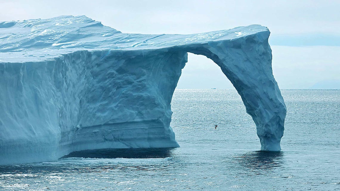 South & West Greenland and Disko Bay iceberg