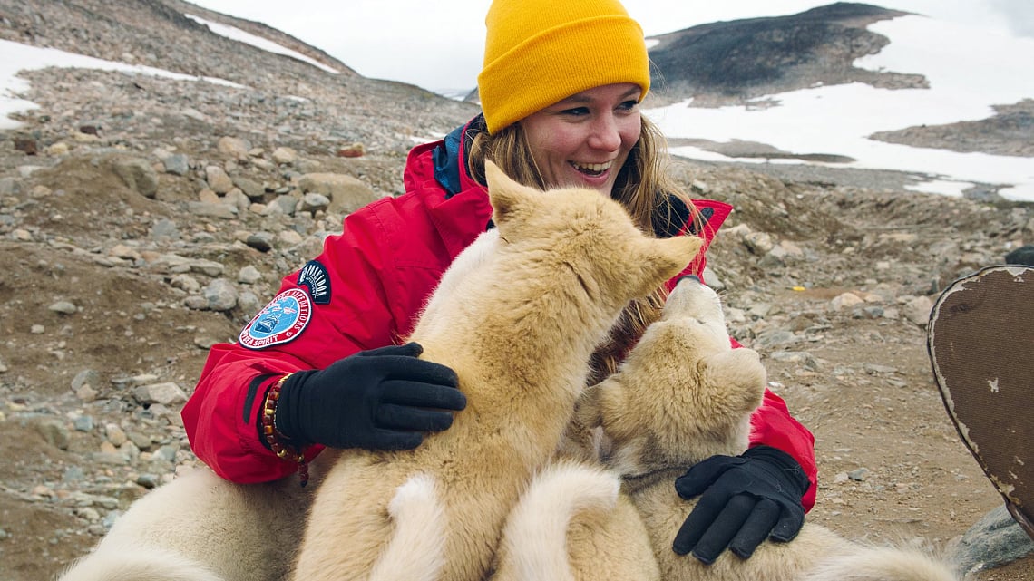 Traveler with Greenlandic dogs