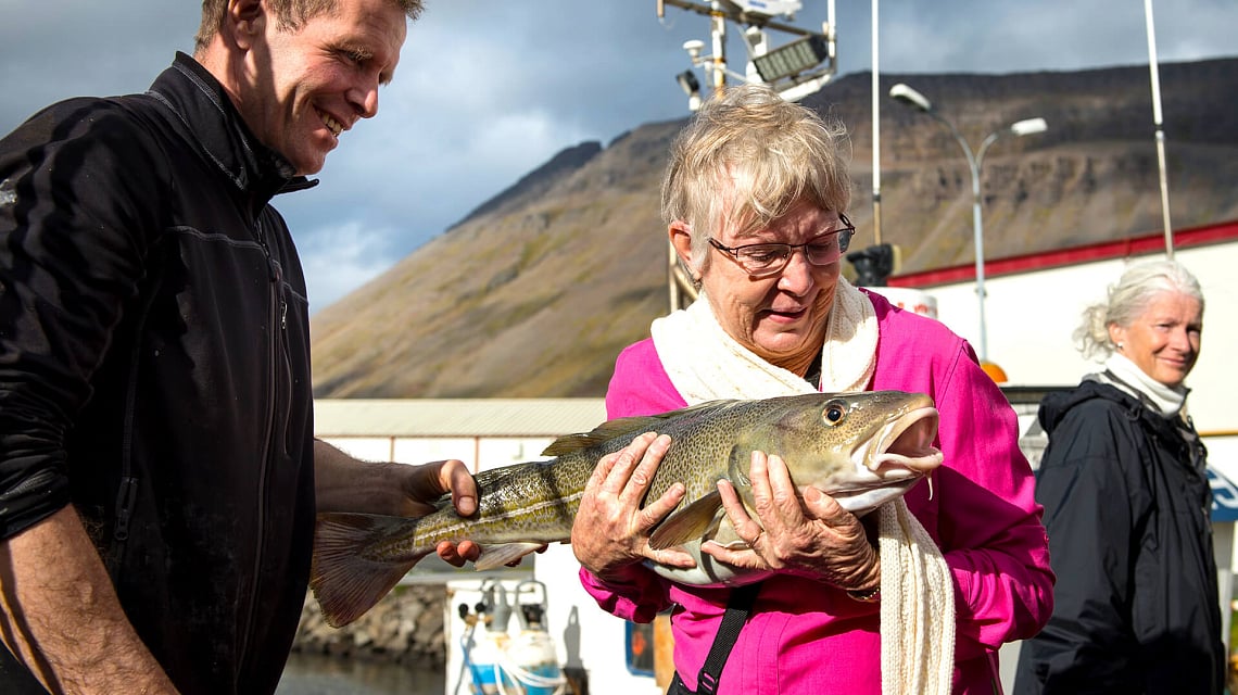 Spitsbergen, Greenland & Iceland fish