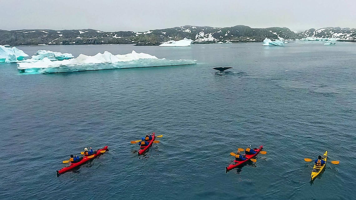 West Greenland and Disko Bay kayaking