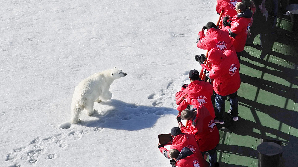 North Pole polar beer