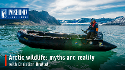 Arctic Wildlife: Myths and Reality